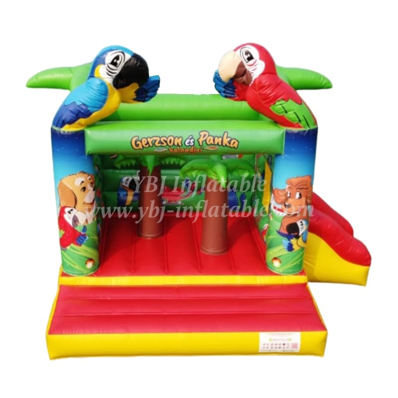 Inflatable Bouncer