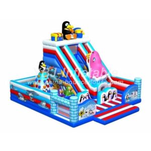 Inflatable Amusement